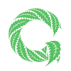 Website voor cannabistelers lekt privédata 1,4 miljoen gebruikers