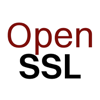 OpenSSL-lek maakt dos-aanvallen en uitlezen van geheugen mogelijk